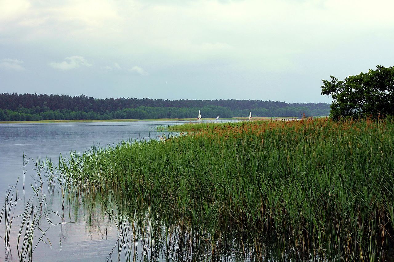 jezioro Nidzkie